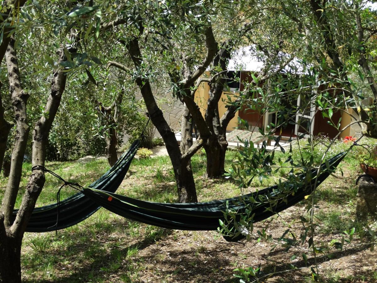 Poggio House, Tranquillita E Comfort Nella Natura San Casciano in Val di Pesa Eksteriør bilde