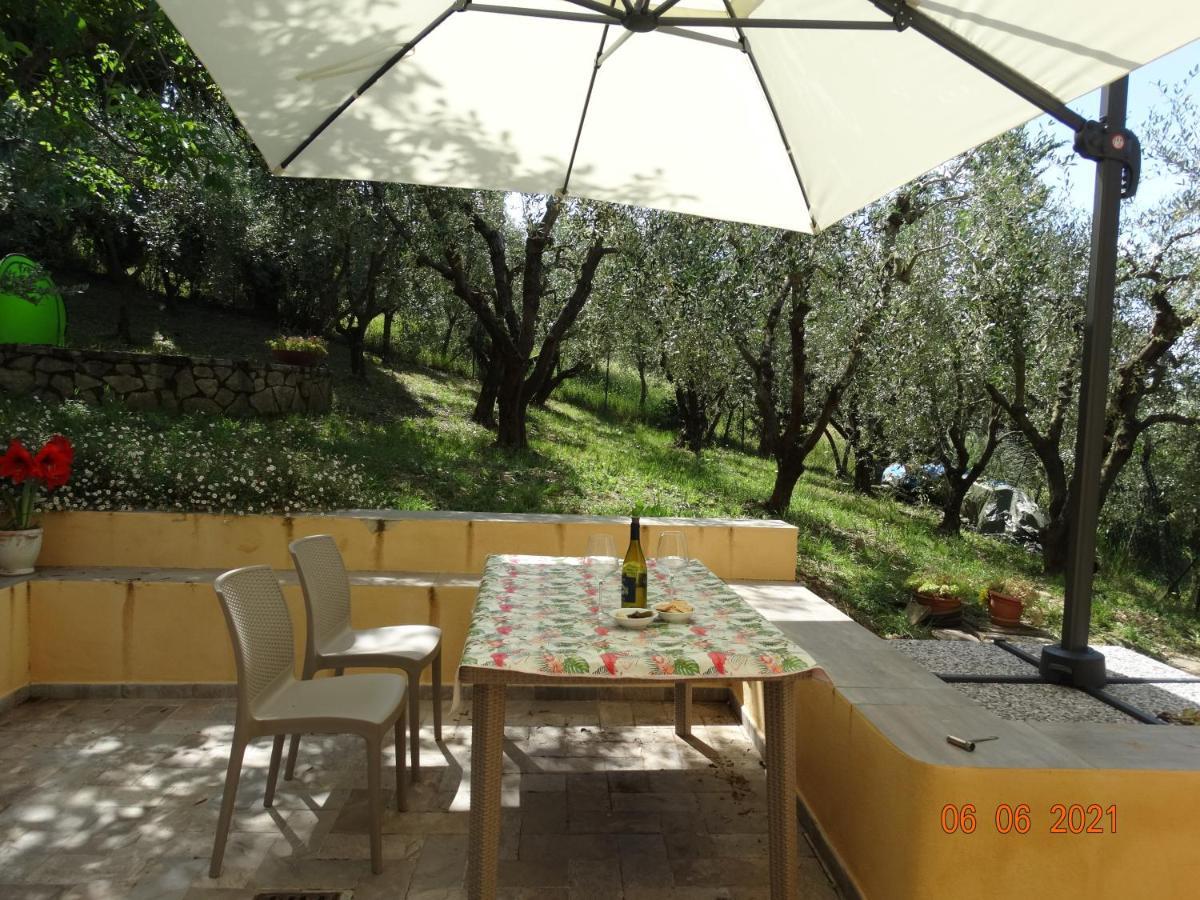 Poggio House, Tranquillita E Comfort Nella Natura San Casciano in Val di Pesa Eksteriør bilde