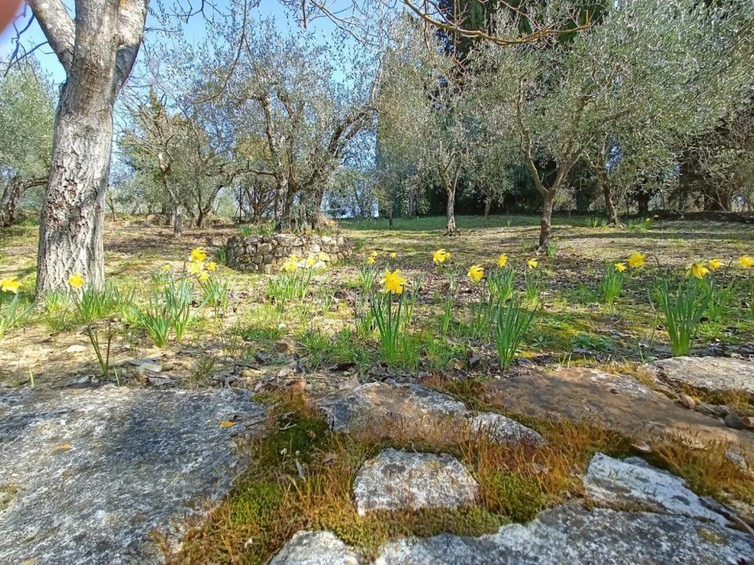 Poggio House, Tranquillita E Comfort Nella Natura San Casciano in Val di Pesa Eksteriør bilde